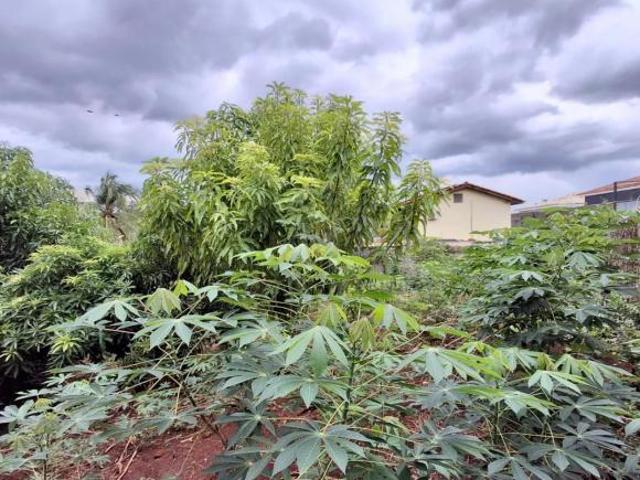 Terreno padrão para venda no Bairro City, em Ribeirão Preto/SP