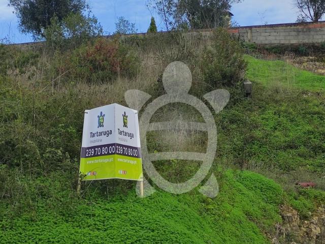 Terreno Palheira