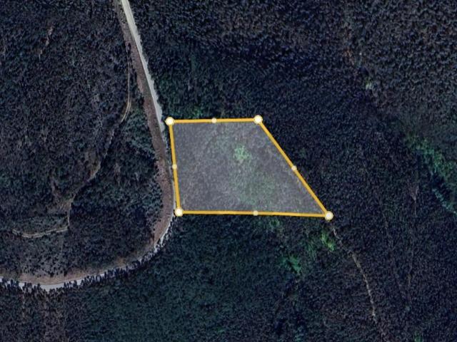 Terreno Panorâmico com 4.843 m² – Vidigueira, Ceira Coimbra