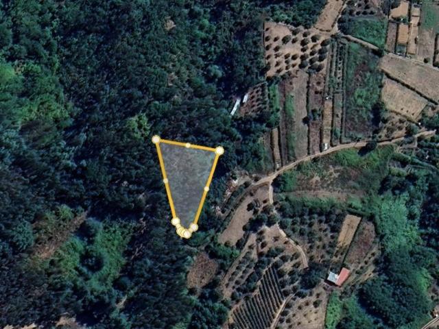 Terreno Panorâmico com 4.843 m² – Vidigueira, Ceira Coimbra