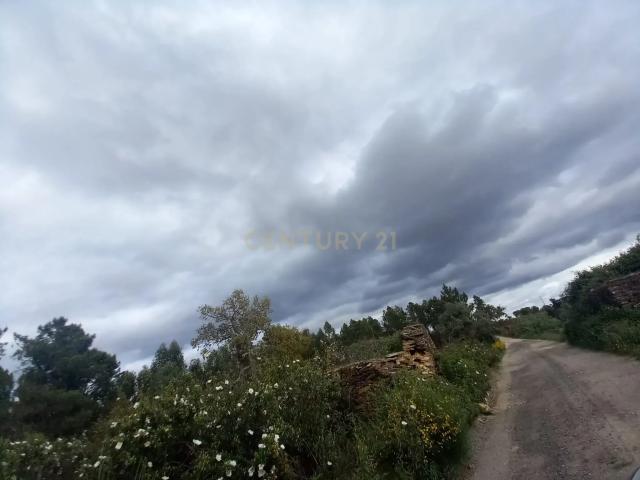 Terreno Panorâmico em Sarnadas de Ródão, Castelo Branco