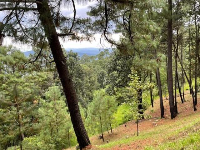 Terreno Panorámico en Mazamitla