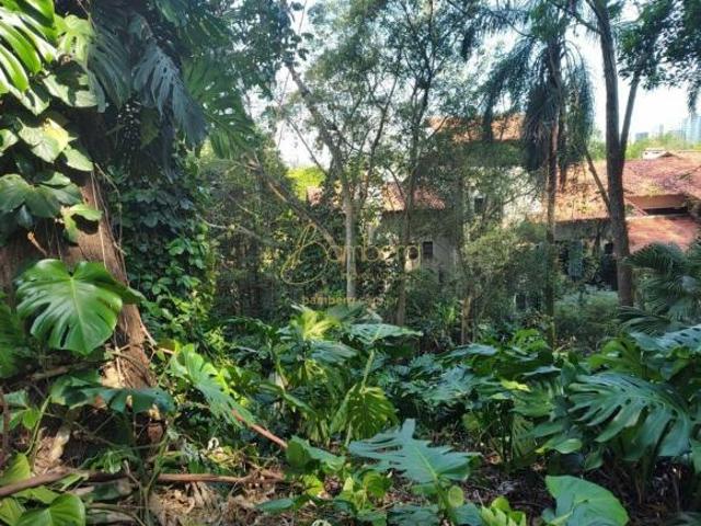 TERRENO PANAMBY PRÓXIMO COLÉGIO PIO XII E PARQUE GLOBAL