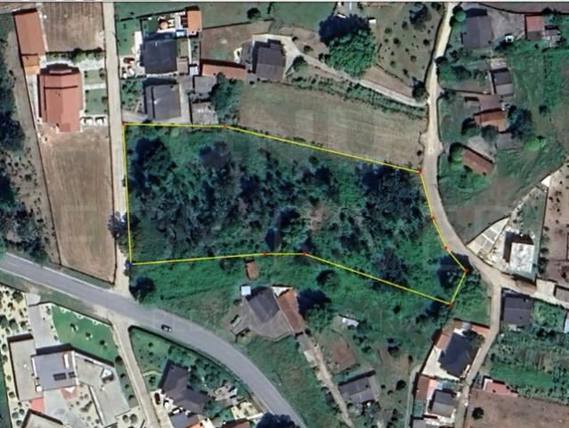 Terreno Passos, Cerdal