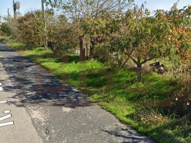 Terreno para 7 Moradias | Oportunidade de Investimento