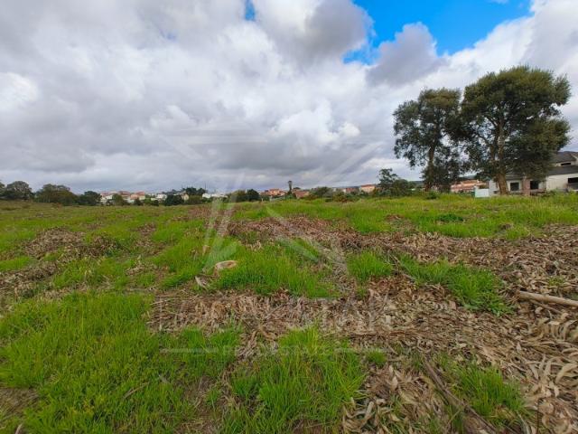 Terreno Para construçao 8 km de Caldas da Rainha