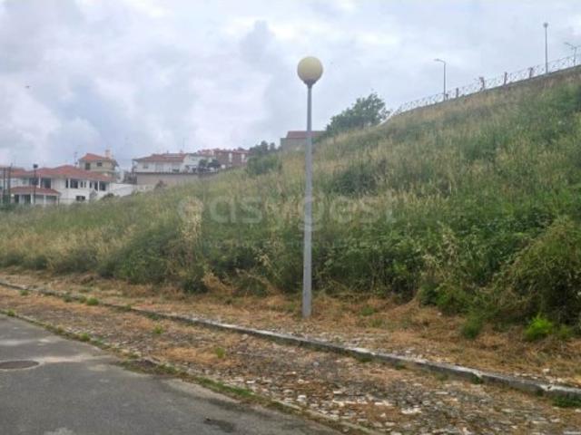 Terreno para Construção Maiorga, Alcobaça