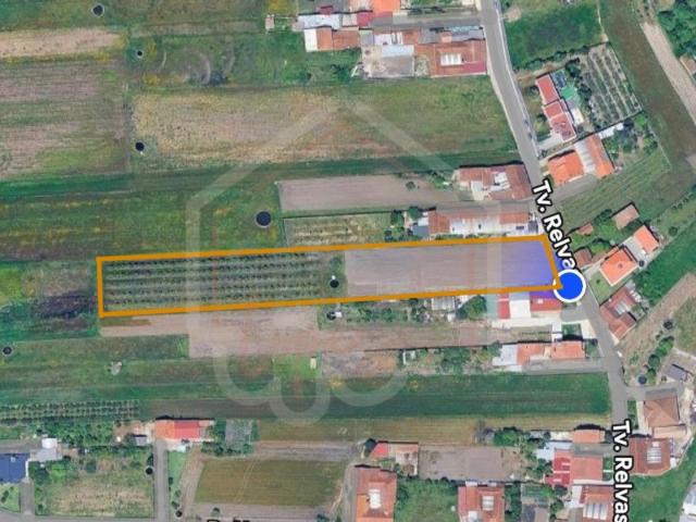Terreno para construção Malhapão, Oiã