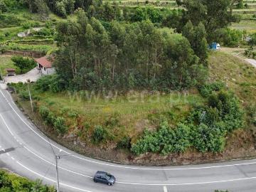 Terreno para Construção / Marco de Canaveses, Vila Boa do Bispo