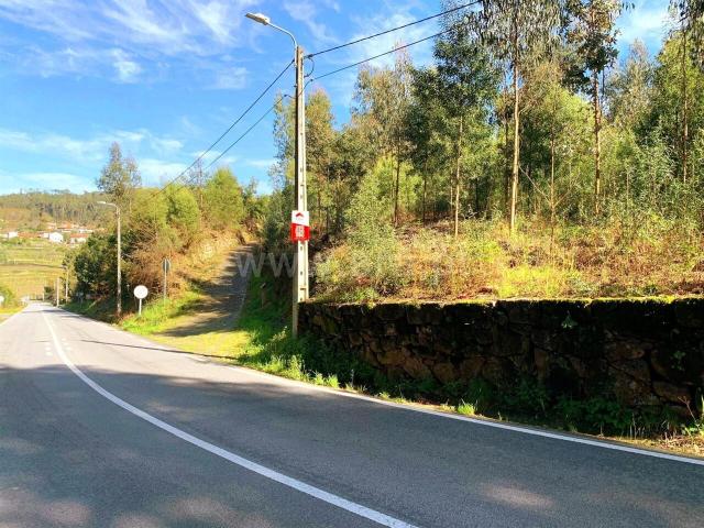 Terreno para Construção / Marco de Canaveses, Vila Boa do Bispo