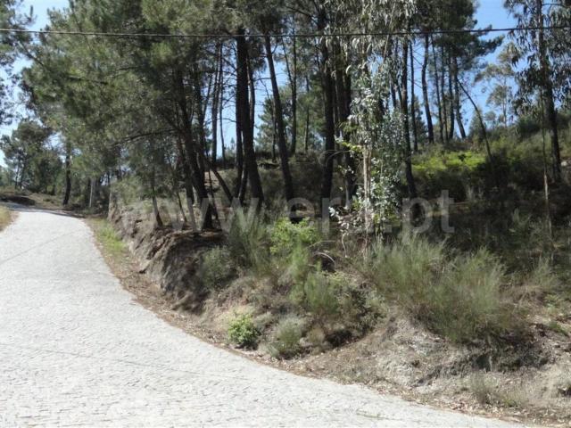 Terreno para Construção / Marco de Canaveses, Banho e Carvalhosa