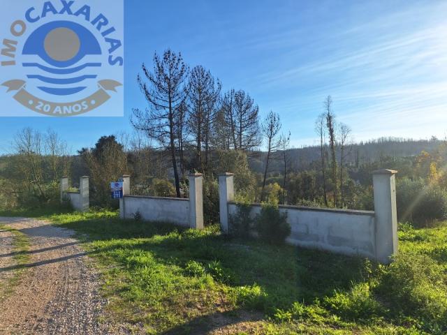 Terreno para construção Mata