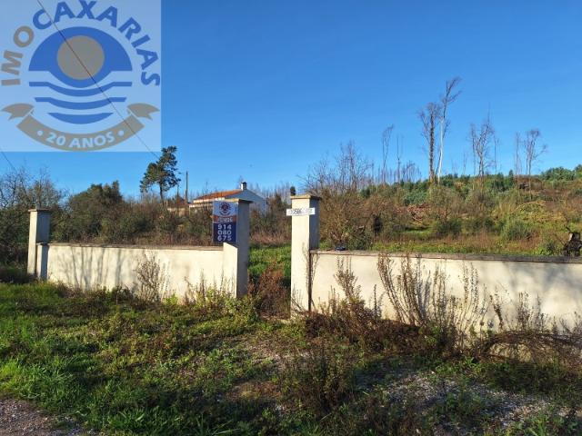 Terreno para construção Mata
