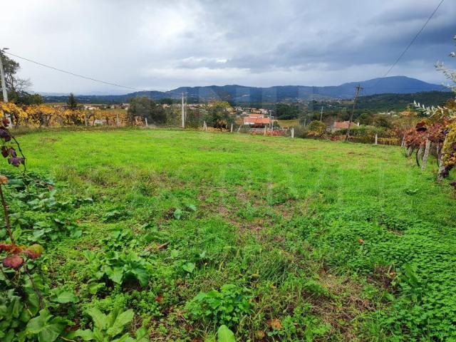 Terreno para Construção Messegães, Valadares e Sá