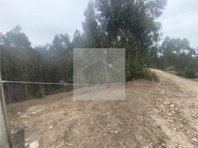 Terreno para construção Moradia