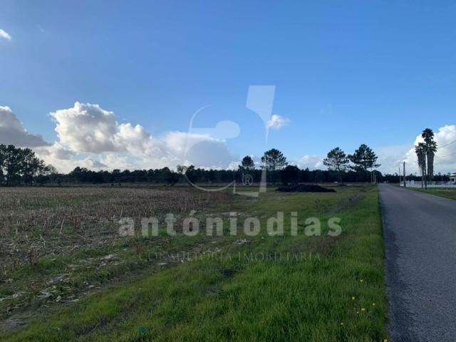 Terreno 14000 m2 Construção Moradias