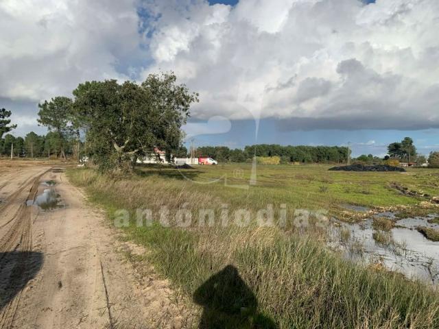 Terreno 13000 m2 Construção Moradias
