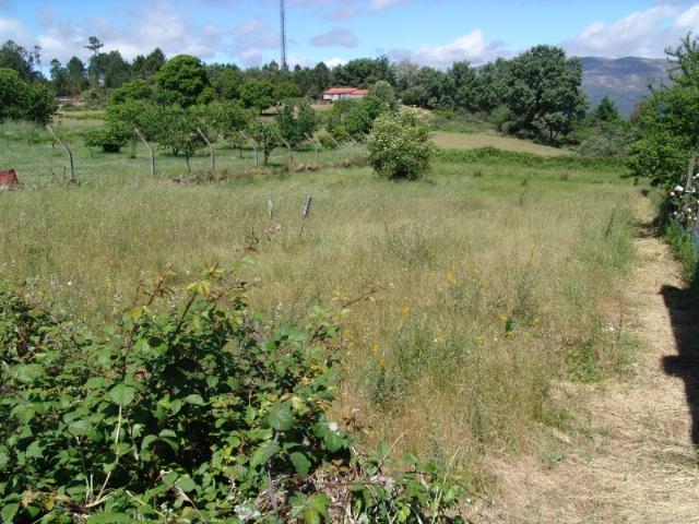 TERRENO PARA CONSTRUÇÃO, MOUÇÓS