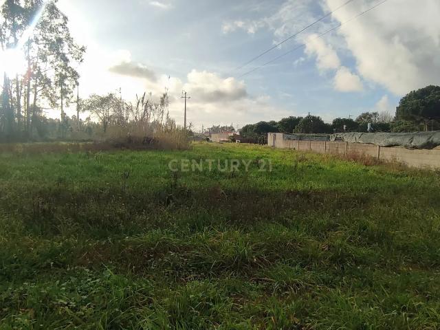 Terreno para construção na Moita, Marinha Grande
