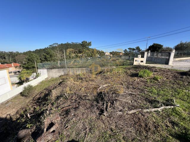 Terreno Para Construção Na Charneca Da Cotovia