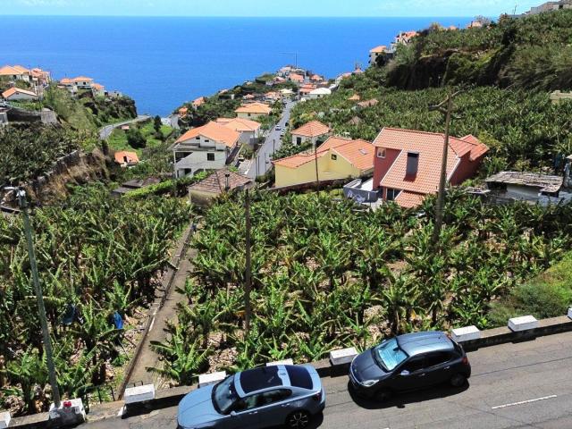 Terreno na Ponta do Sol a 2 Minutos da Vila e da Praia | 950 m2 com Vista Mar