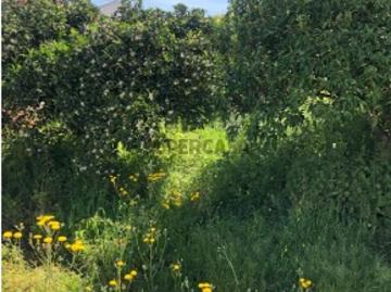 Terreno para Construção na Vila da Vidigueira Oportunidade Única!