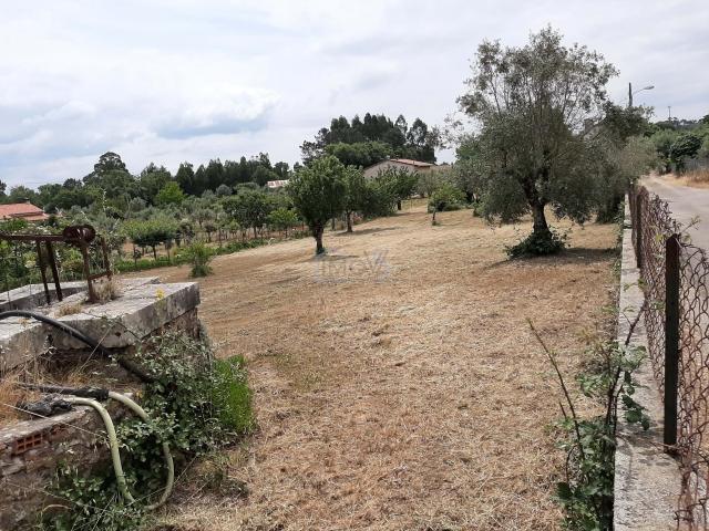 Terreno para construção na Vila de Ferreira do Zêzere