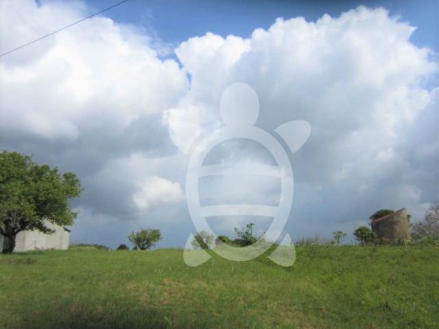 Terreno para construção nas Alhadas