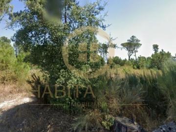Terreno Para Construção Nelas, Viseu