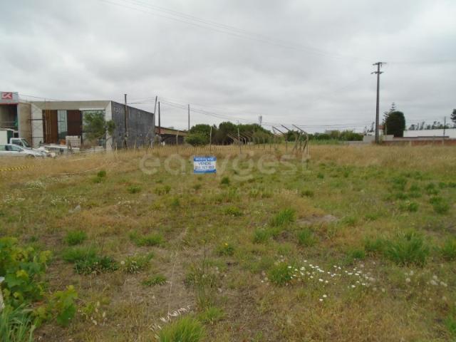 Terreno para construção no Centro da Burinhosa Pataias