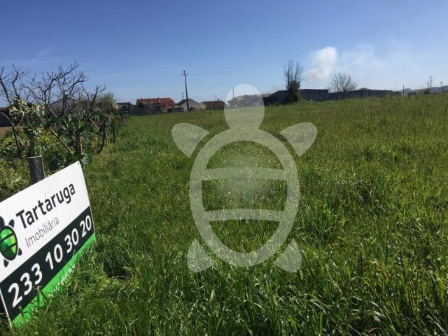 Terreno para construção no centro do Paião