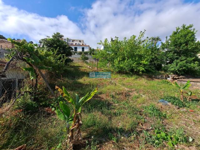 Terreno para Construção no Funchal Elevado Potencial de Investimento