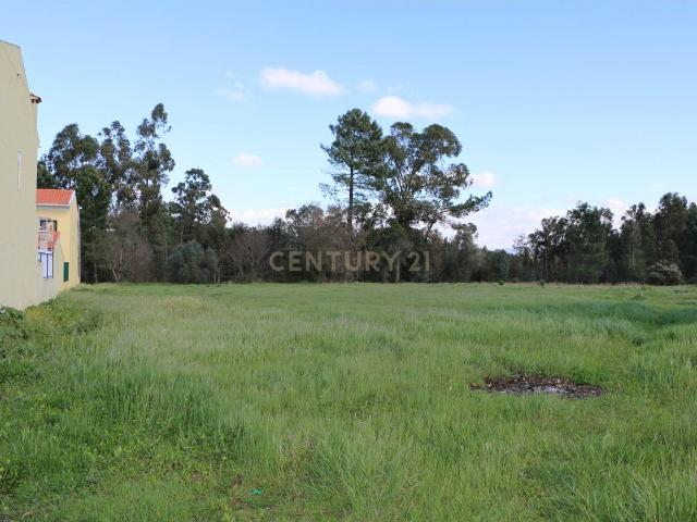 TERRENO PARA CONSTRUÇÃO | OLIVEIRA DO BAIRRO | 1460m2