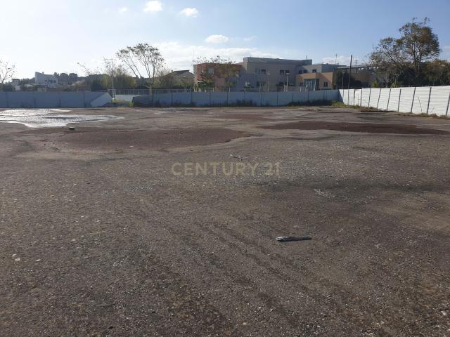 Terreno para Construção Azambuja