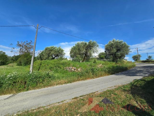 Terreno para construção a 10 minutos de Pombal