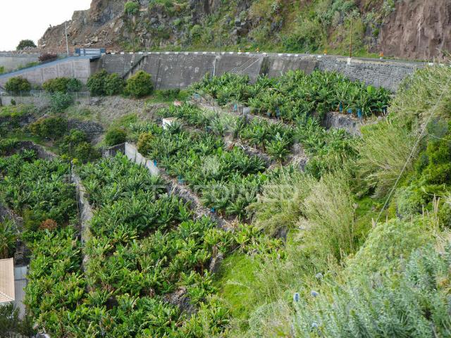 Terreno para construção a 200 metros do mar na Calheta