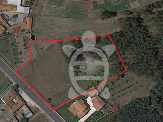 Terreno para construção a 2min da Tocha