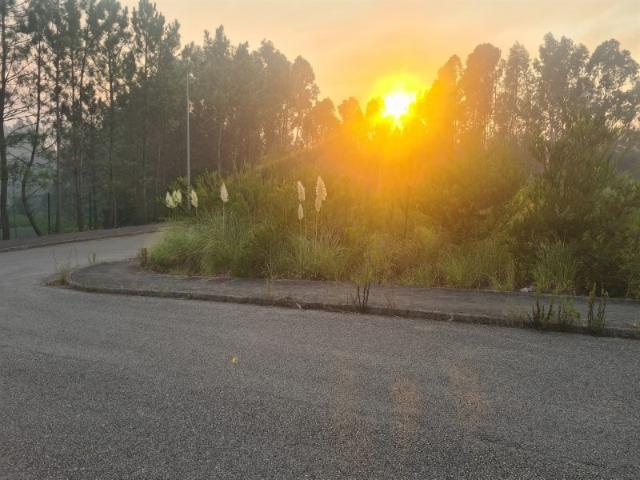Terreno para construção Águeda, a 5 minutos do centro da cidade
