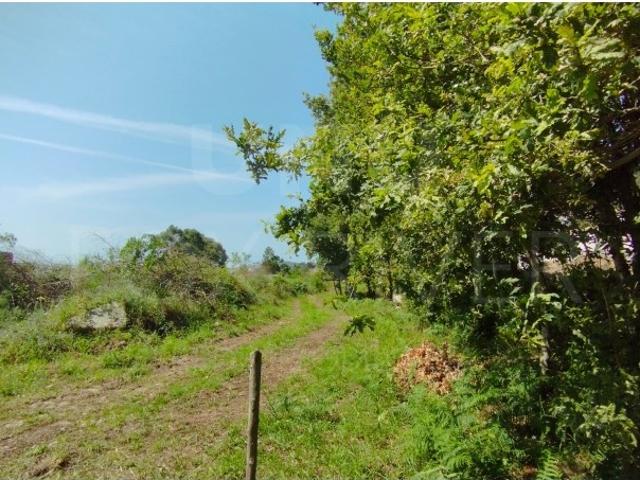 Terreno para Construção Areosa, Viana do Castelo