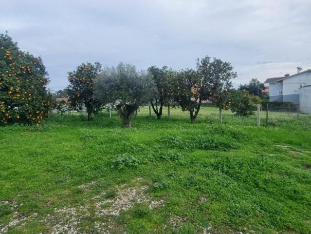 Terreno para construção, bem localizado, zona tranquila e com bons acessos