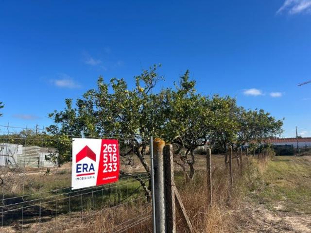 Terreno para Construção Benavente