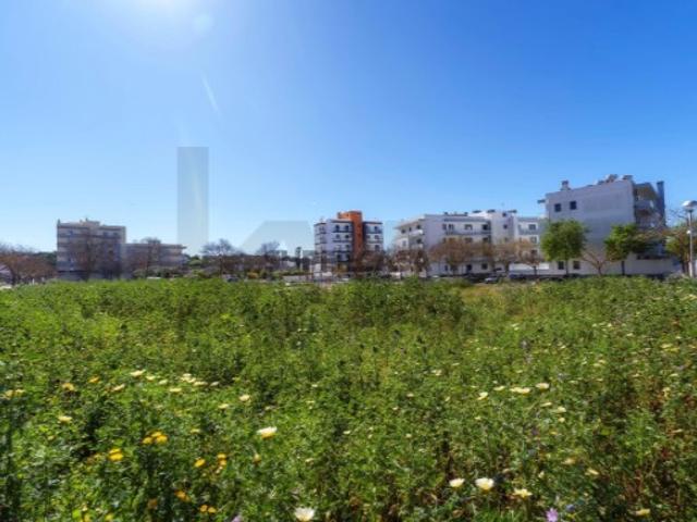 Terreno para construção Betunes Loulé INVESTIDORES