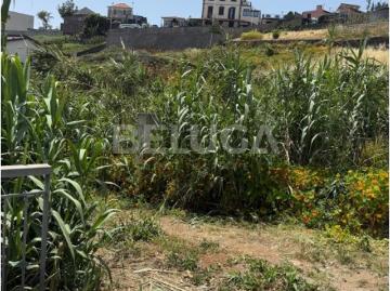 TERRENO PARA CONSTRUÇÃO | C/ PROJETO | Jamboto, Santo António, Funchal