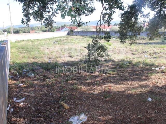 Terreno para construção, Calvaria de Cima, Porto de Mós