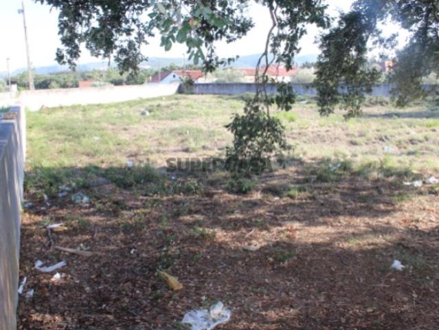 Terreno para construção, Calvaria de Cima, Porto de Mós