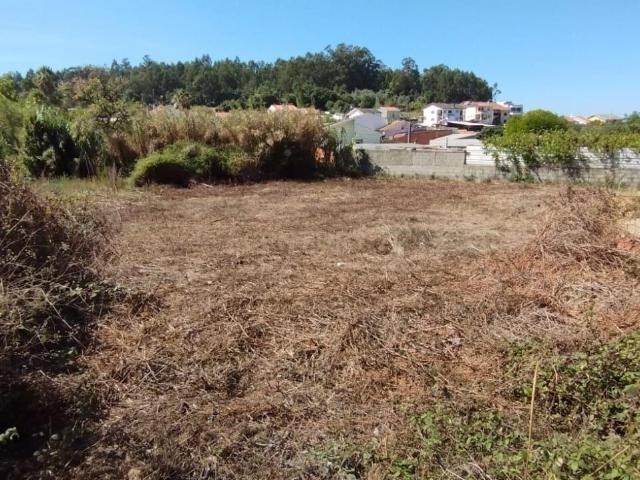 Terreno para Construção | Casal da Bemposta | S. Martinho do Bispo