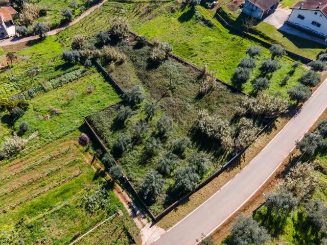 Terreno para Construção | Ceira