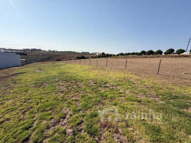 Terreno para construção Cela, Alcobaça