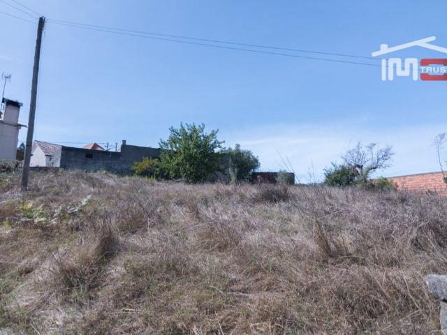 Terreno para construção centro de Albergaria dos Doze