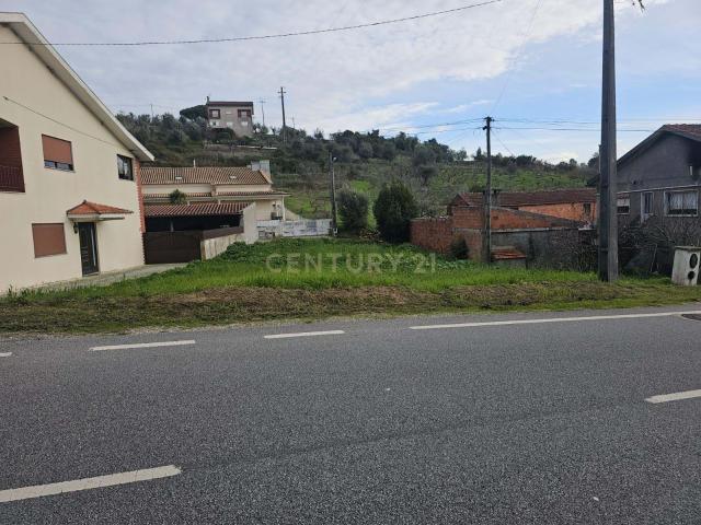 Terreno para Construção Cestas, Almalaguês